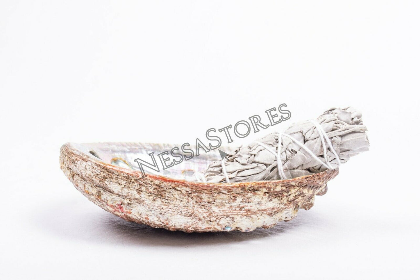 White Sage 4" & Abalone Shell 6" - 7" (1 Kit)