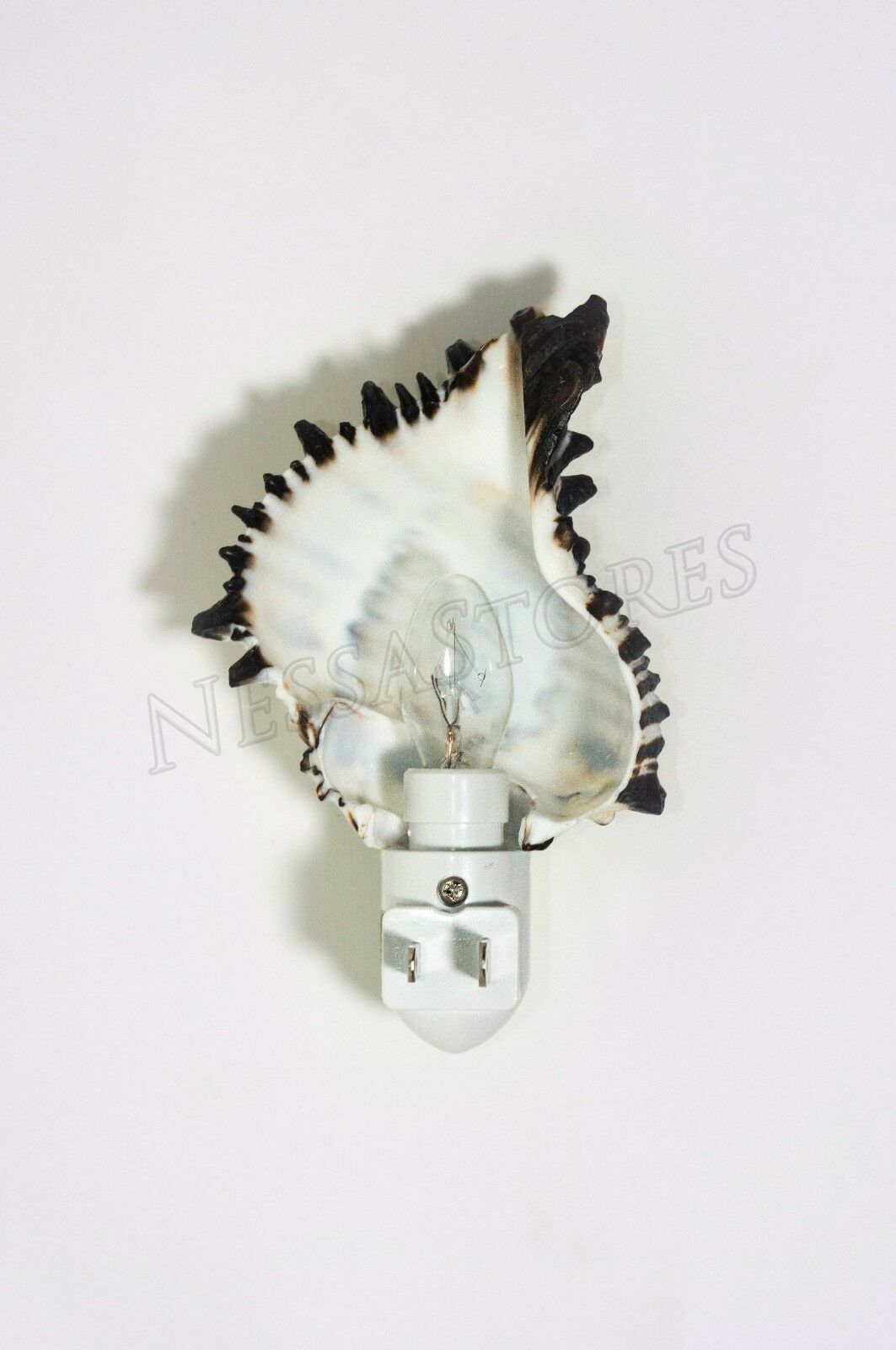 Black Murex Sea Shell Nightlight Kitchen Bathroom Beach Home Decor Craft( 1 Pc)