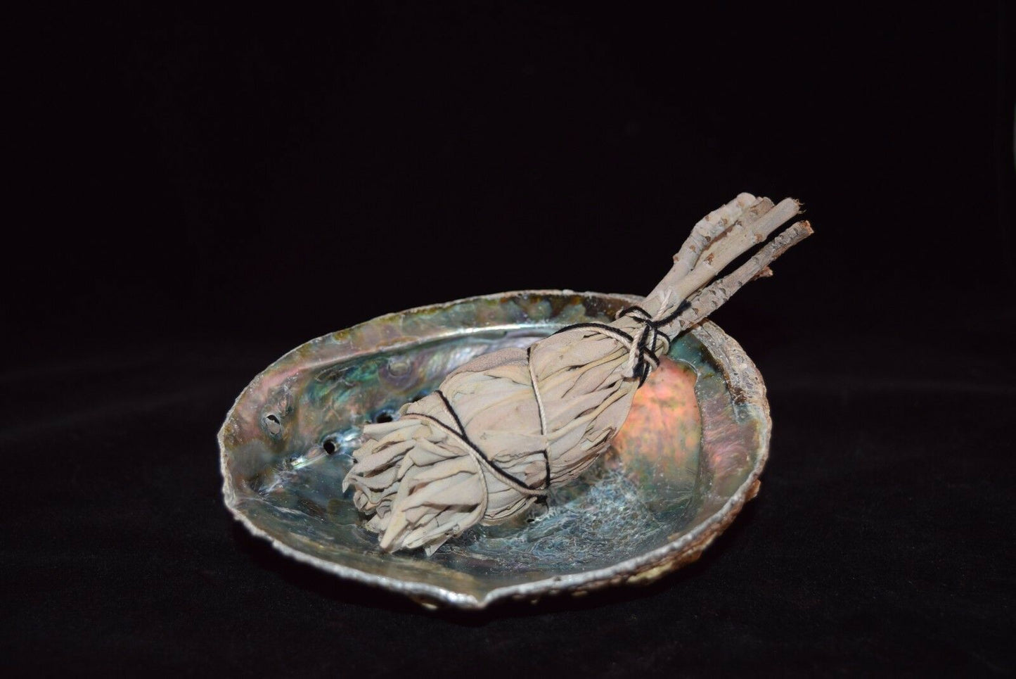 California White Sage 3" - 4" & Abalone Shell 4" - 5" (1 Kit)