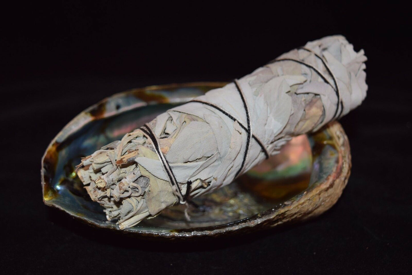 California White Sage 5" - 6" & Abalone Shell 6" - 7" (1 Kit)