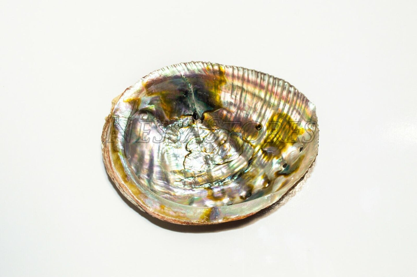 NessaStores California White Sage 3" - 4" & Abalone Shell 4" - 5" (1 Kit)