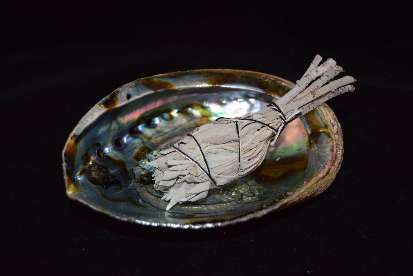 California White Sage 3" - 4" & Abalone Shell 6" - 7" (1 Kit)