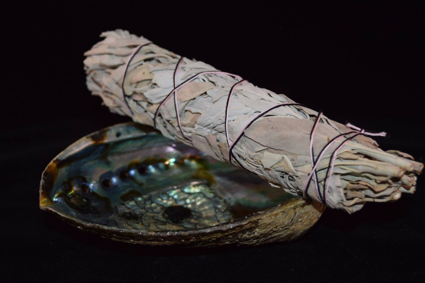 California White Sage 7" - 8" & Abalone Shell 6" - 7" (1 Kit)