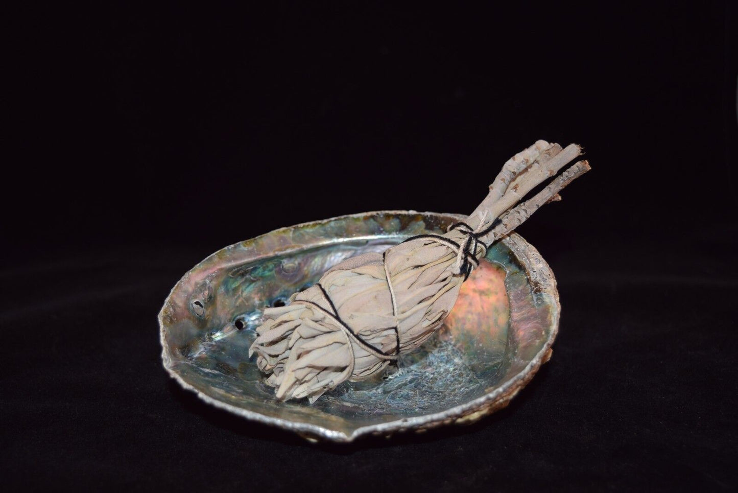 NessaStores California White Sage 3" - 4" & Abalone Shell 4" - 5" (1 Kit)