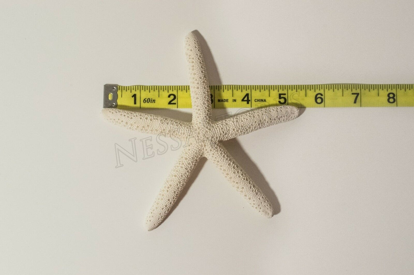 White Finger Starfish Sea Shell Bleached Finger 5" - 6" ( 8 pcs )