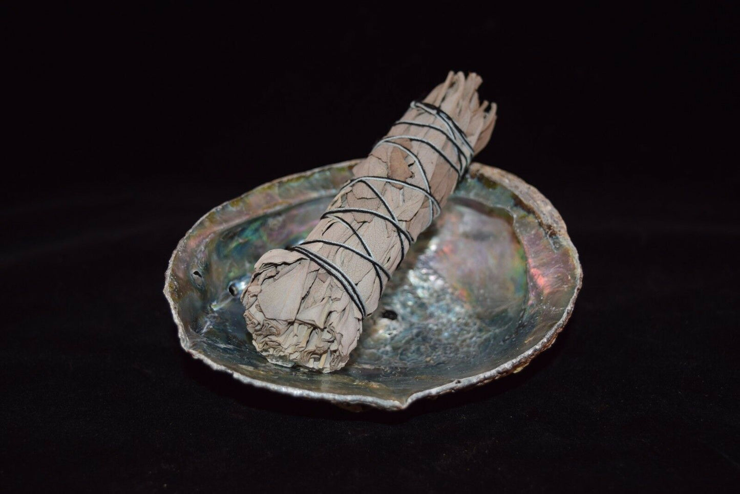 White Sage 4" & Abalone Shell 4" - 5" (1 Kit)