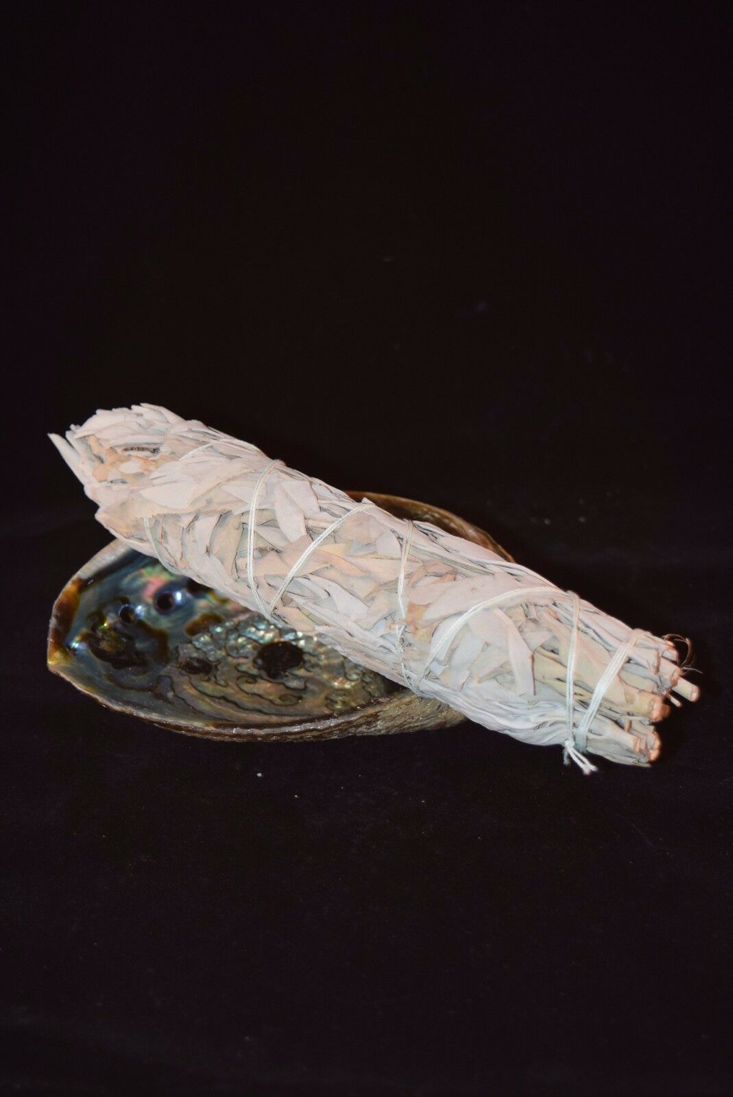 California White Sage 8" - 9" & Abalone Shell 6" - 7" (1 Kit)