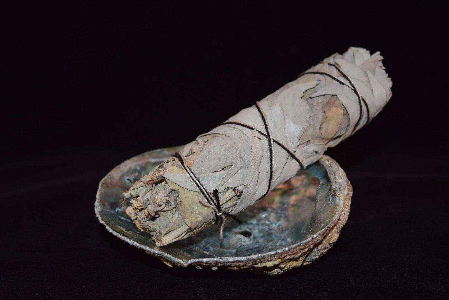 California White Sage 5" - 6" & Abalone Shell 4" - 5" (1 Kit)