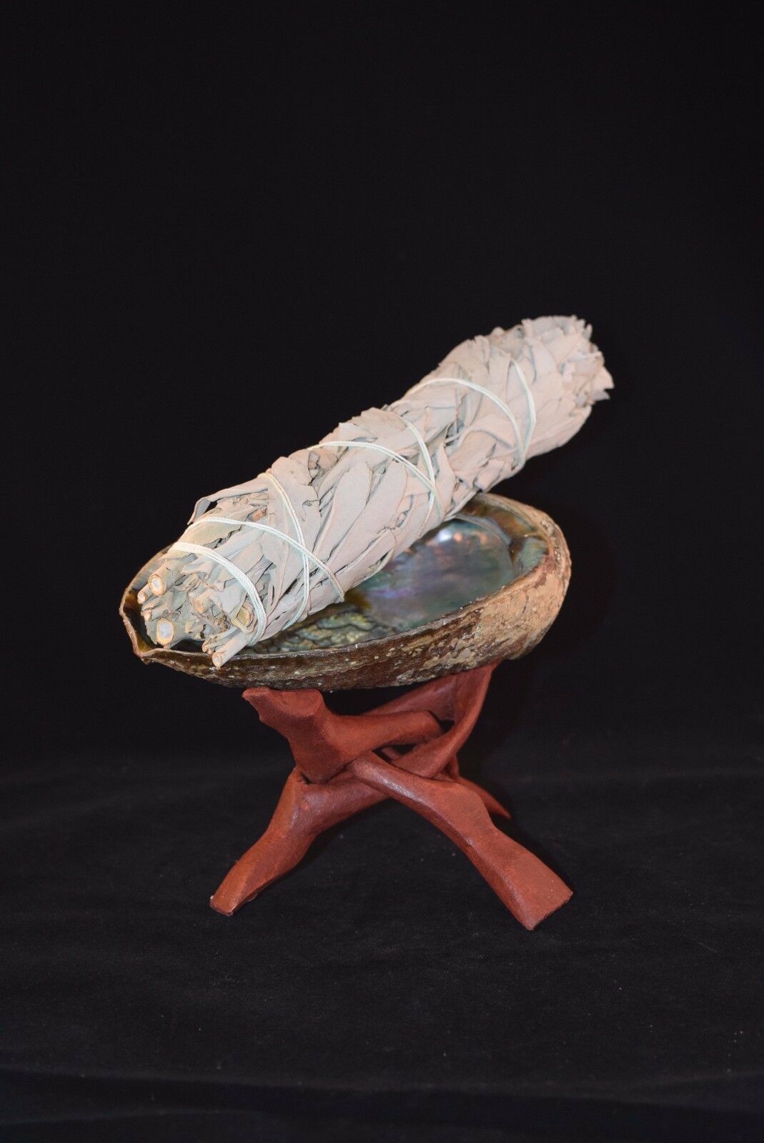 White Sage 8" - 9" + Wood Stand 6" & Abalone Shell 6" - 7" (1 Kit) #JC-98