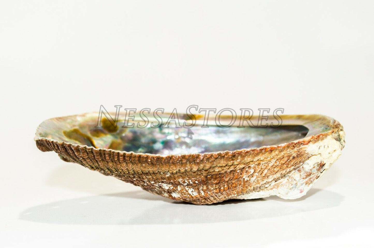 NessaStores California White Sage 3" - 4" & Abalone Shell 4" - 5" (1 Kit)