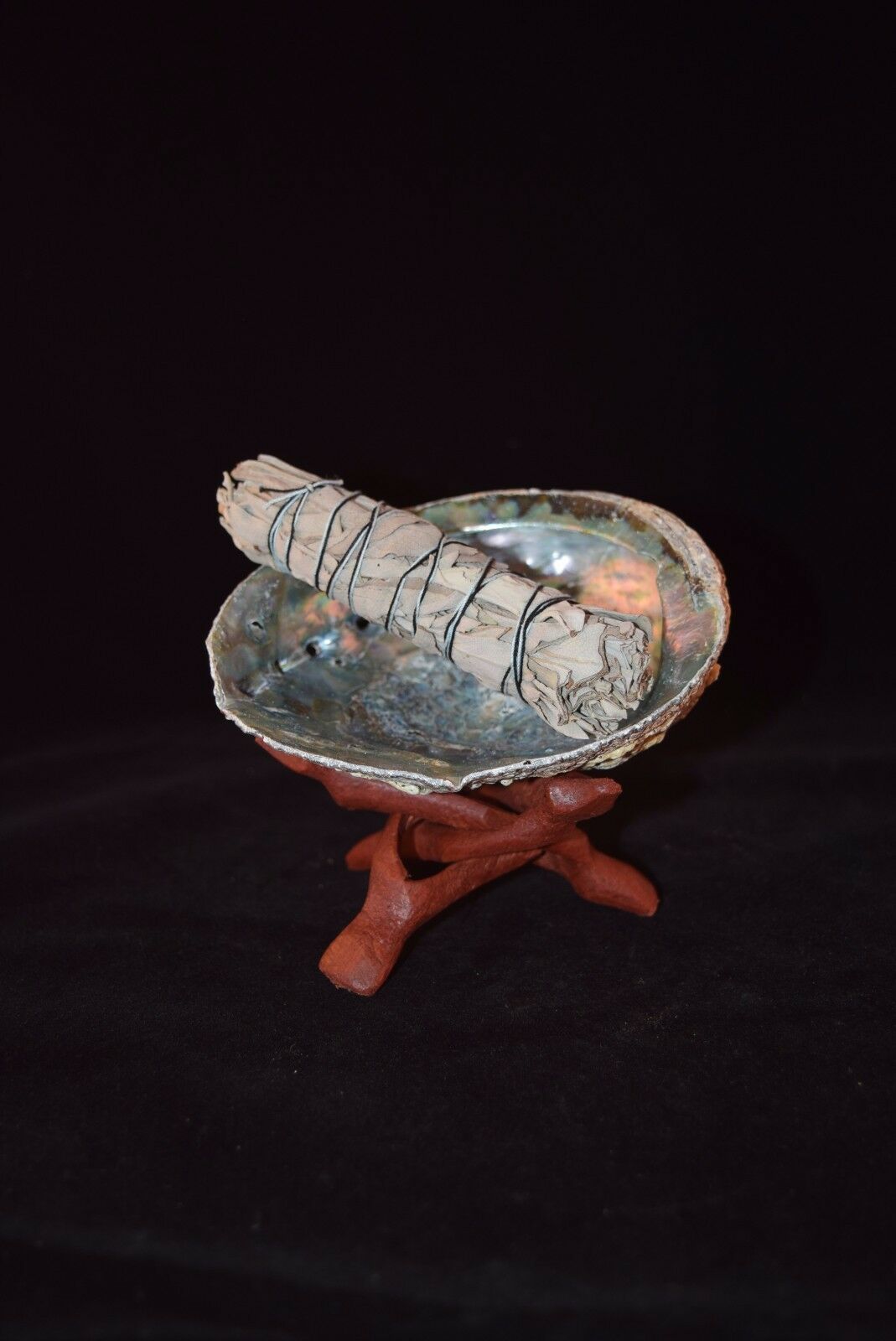 California White Sage 4" + Wood Stand 4" & Abalone Shell 4" - 5" (1 Kit)