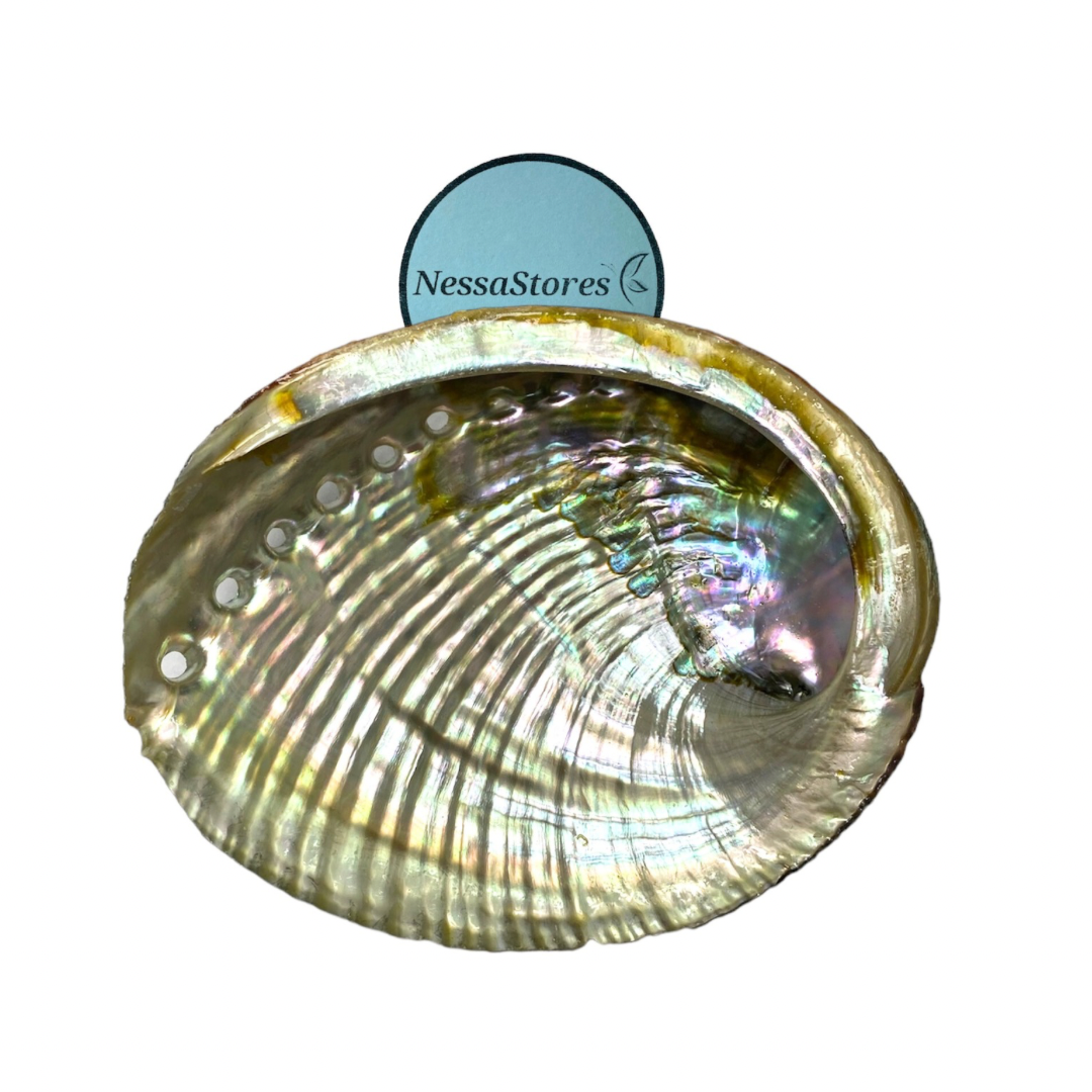 Smuge Shell 1 Abalone Shell 4 to 5 Inches | Beautiful All Natural Smudge Bowl - Pe ...