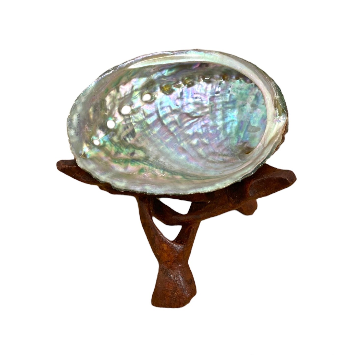 NessaStores 6 Abalone Shells 2.5 to 3.5 Inches | Beautiful All Natural Smudge Bowl - Perfect for Smudge Sticks, Incense Sticks and a Sage Smudge Kit. #JC-020