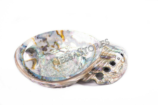 Green Abalone Sea Shell BOTH Side Polished Beach Craft 7" - 8" (2 pcs) #JC-143