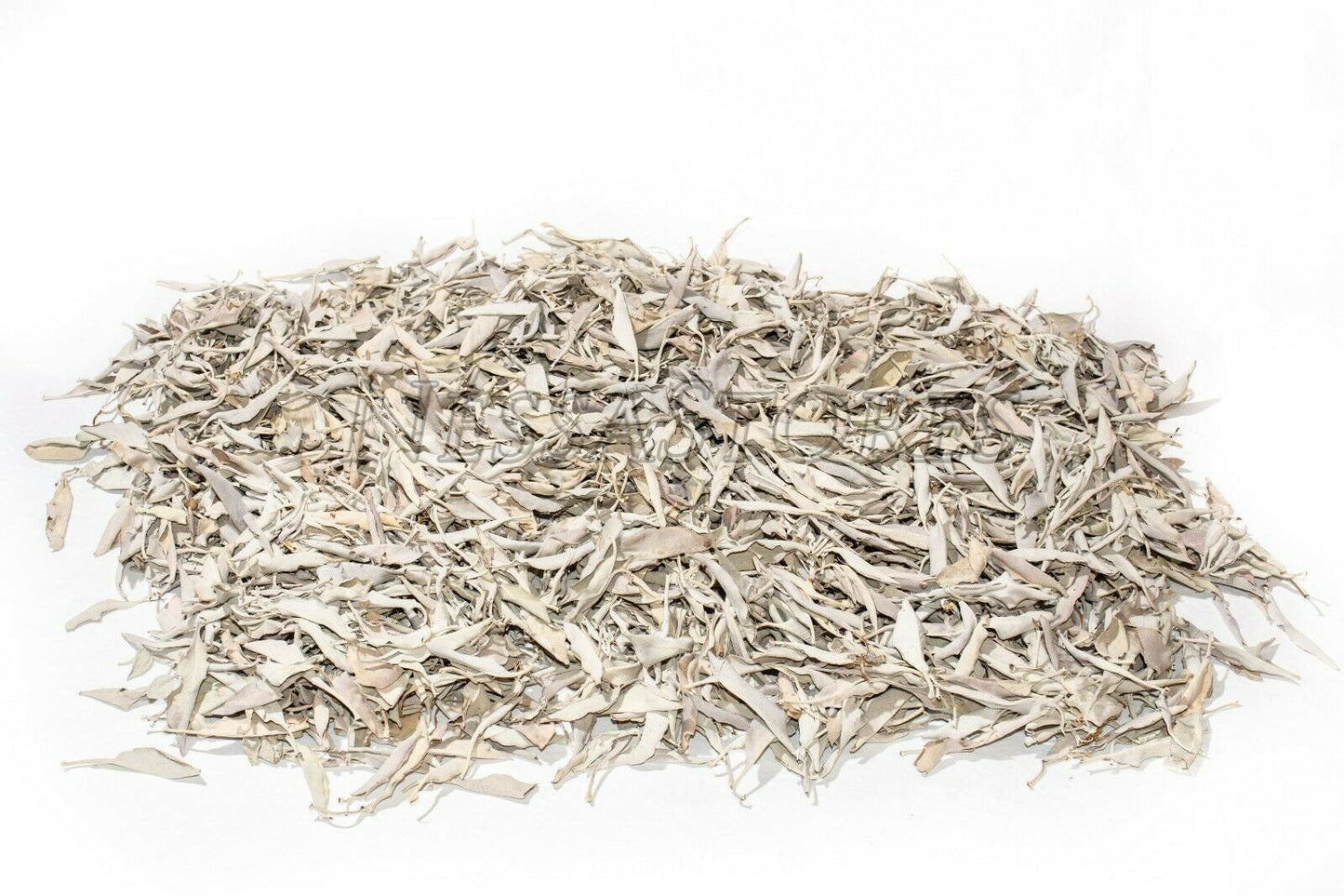 NessaStores California White Sage LEAVES ONLY Incense (2 lbs) #JC-003