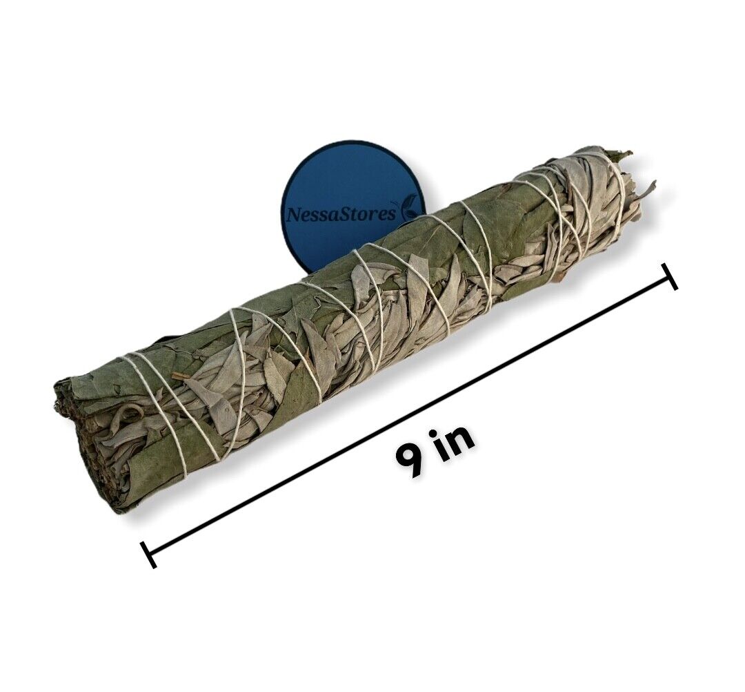 NESSASTORES - White Sage + Eucalyptus Smudge Incense 9" Bundle #JC-192 (3 pcs)