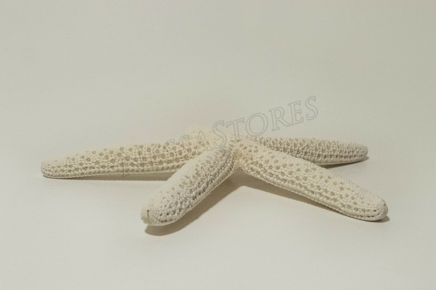 White Finger Starfish Sea Shell Bleached Finger 5" - 6" ( 8 pcs )