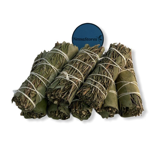 NESSASTORES - Rosemary + Eucalyptus Smudge Incense 4" Bundle #JC-201 (100 pcs)