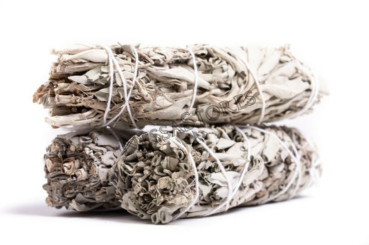 NessaStores White Sage Smudge Incense 5" Bundle (3 pcs) #JC-137