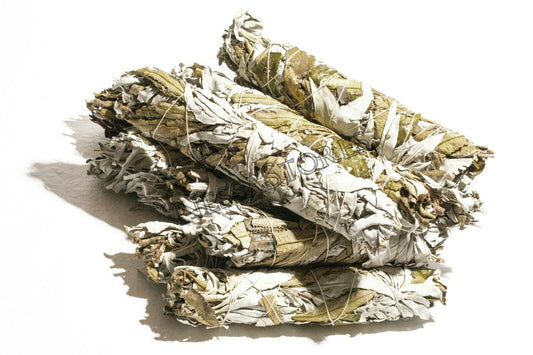 White Sage + Yerba Santa Smudge Incense 8"-9" Bundle (12 pcs) #JC-89