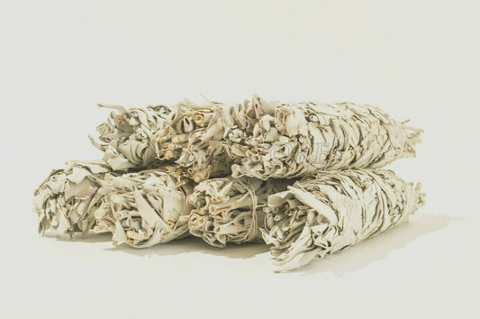 NessaStores California White Sage Smudge Incense 8"-9" Bundle (7 pcs) #JC-010