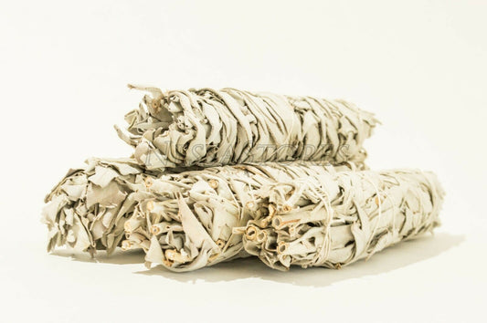 NessaStores California White Sage Smudge Incense 8"-9" Bundle (4 pcs) #JC-010