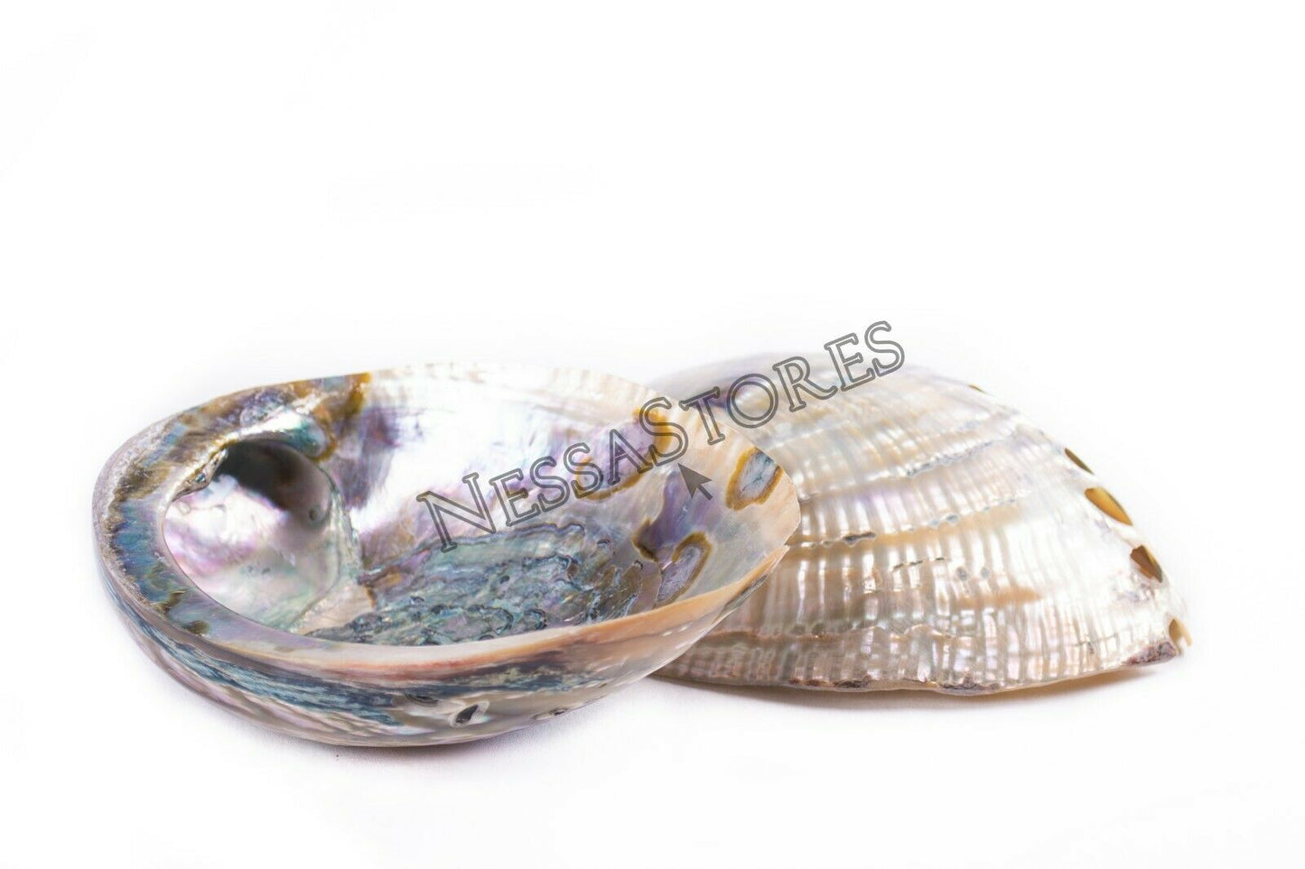 Green Abalone Sea Shell BOTH Side Polished Beach Craft 6" - 7" (2 pcs) #JC-67