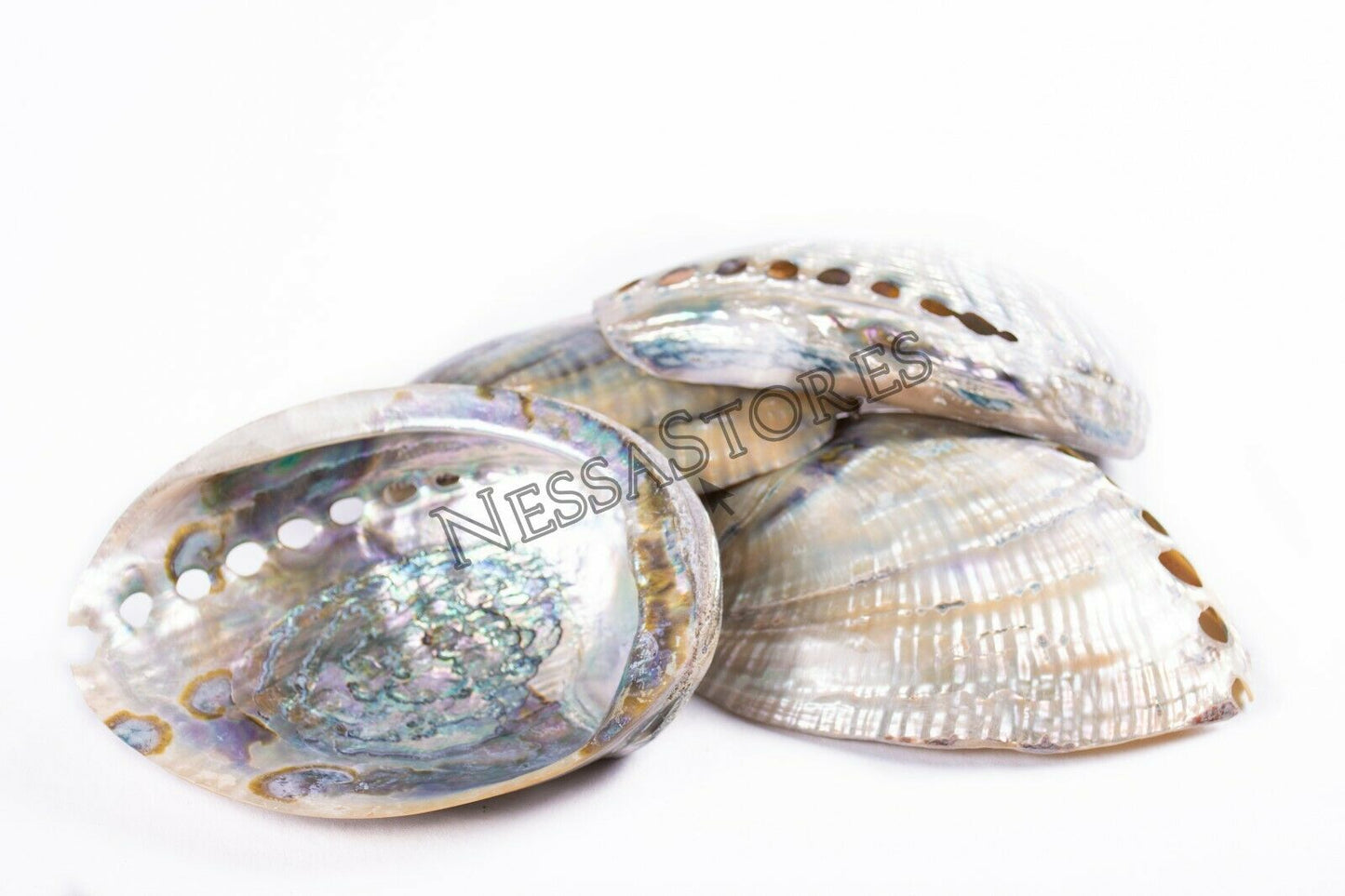 Green Abalone Sea Shell BOTH Side Polished Beach Craft 6" - 7" (4 pcs) #JC-67