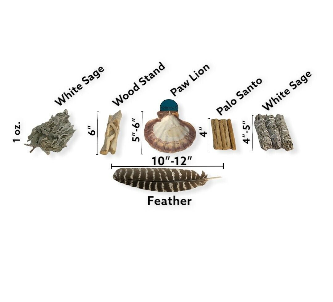 Natural Smudge Kit - Shell + Stand + Sages x2 + Palo + Feather (3 Kits) #JC-229