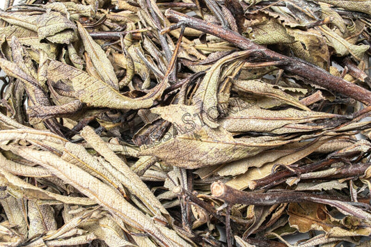 NessaStores California Yerba Santa Loose Cluster Incense Smudge (1 lb) #JC-62