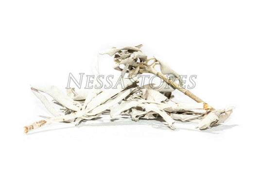 NessaStores California White Sage Smudge Loose Cluster Incense Bulk (1 oz) #JC-001