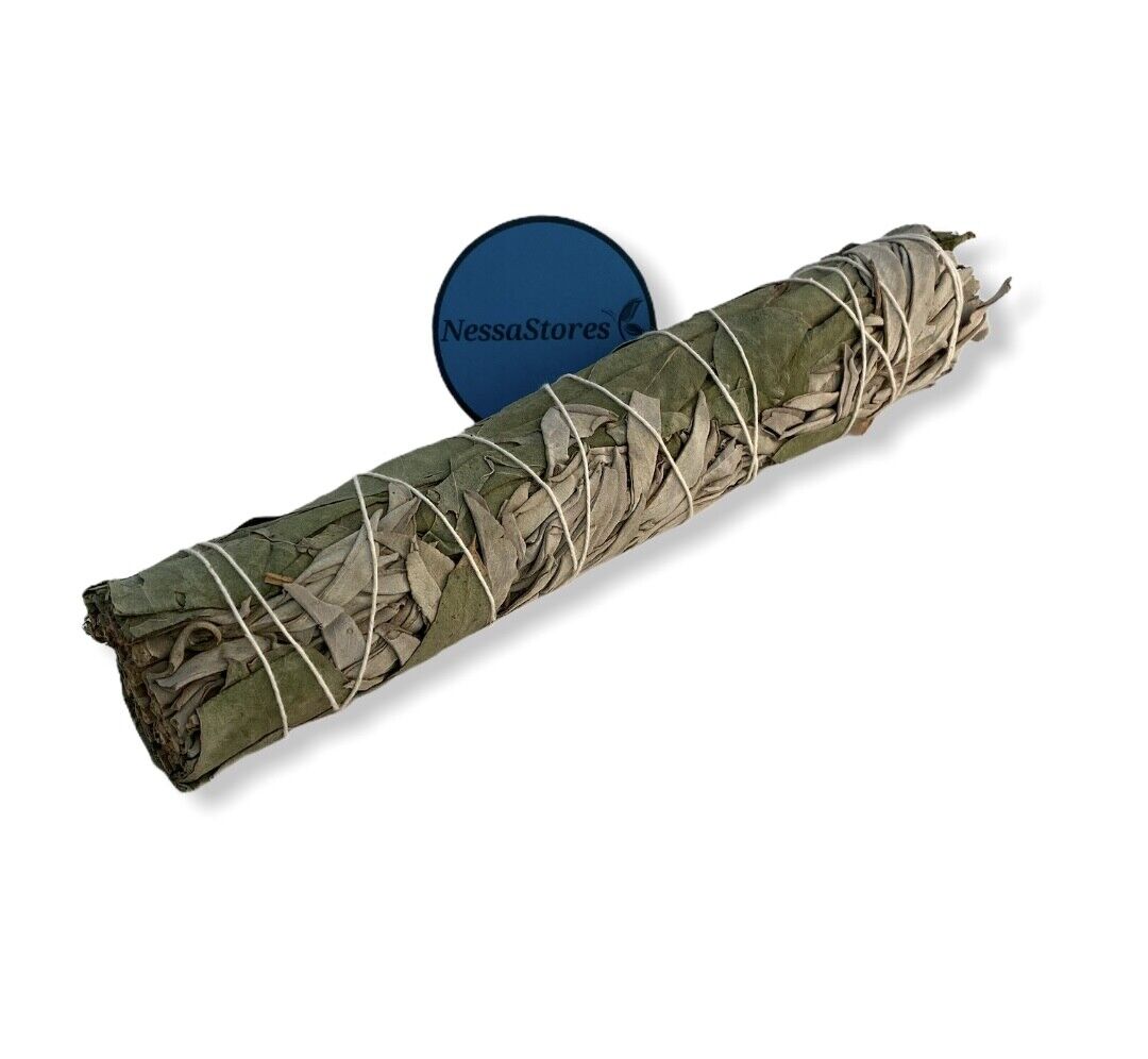 NESSASTORES - White Sage + Eucalyptus Smudge Incense 9" Bundle #JC-192 (1 pc)