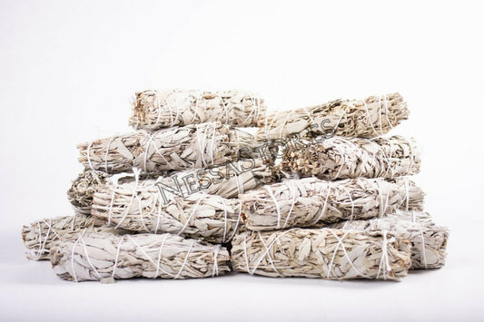 NessaStores White Sage Smudge Incense 5" Bundle (48 pcs) #JC-137