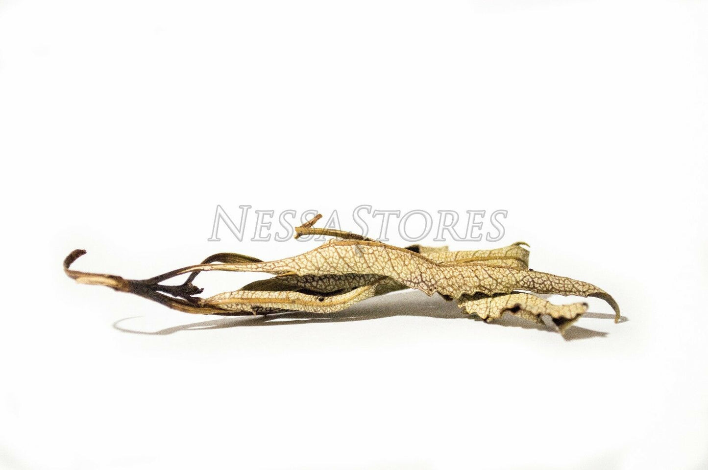 NessaStores Yerba Santa Leaves Only Incense (1/2 pound) #JC-61