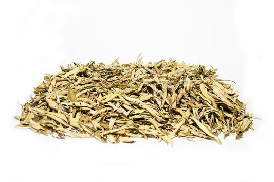 Yerba Santa Leaves Only Incense (1 oz.) #JC-061