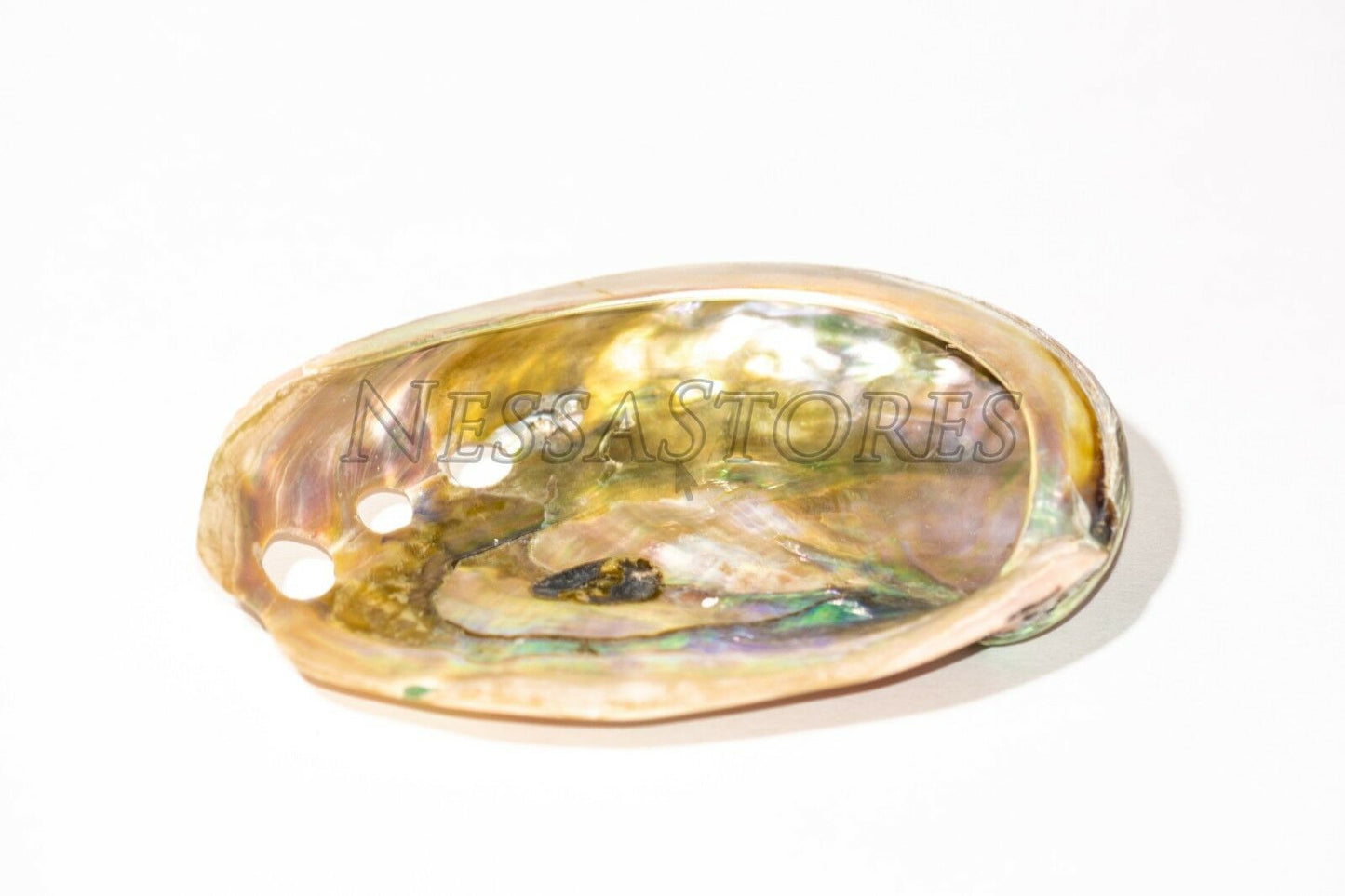 Red Abalone Sea Shell Both Side Polished Beach Craft 3" - 4" ( 2 Pcs) #JC-22