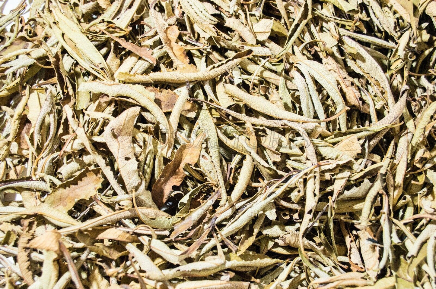 NessaStores Yerba Santa Leaves Only Incense (1/2 pound) #JC-61