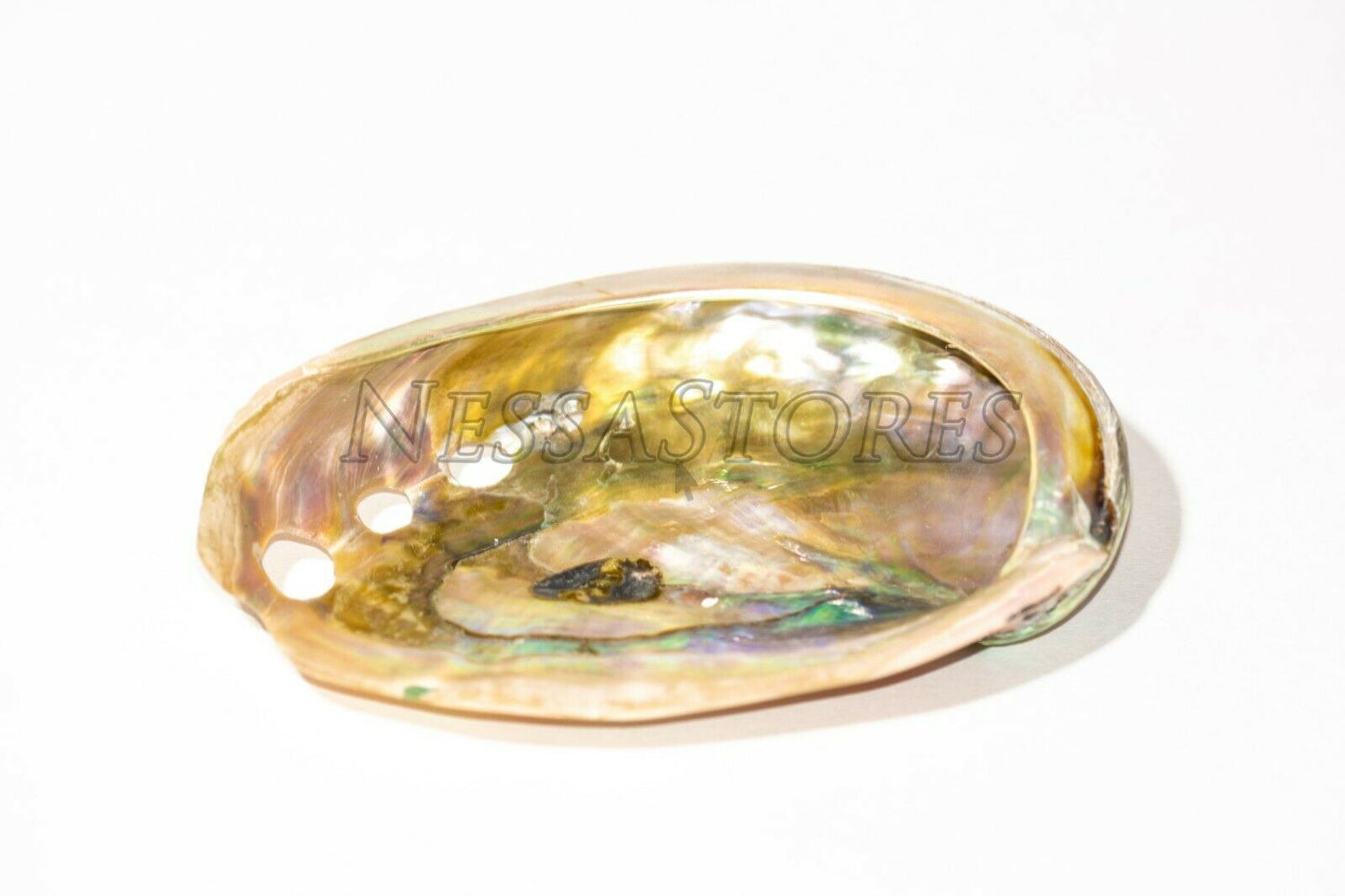 Red Abalone Sea Shell Both Side Polished Beach Craft 3" - 4" ( 1 pc)#JC-22